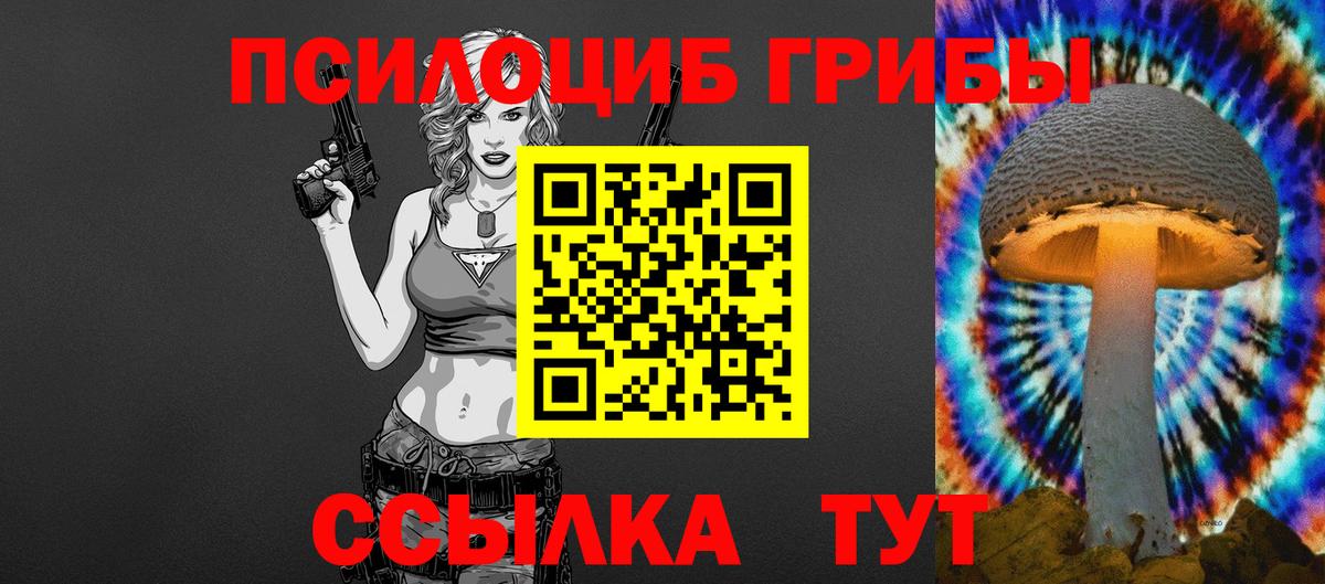 Псилоцибиновые грибы Psilocybine cubensis Югорск